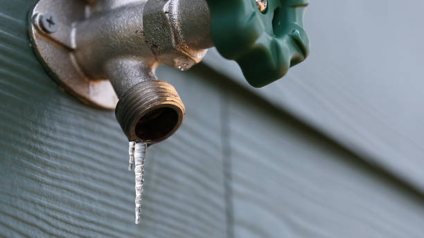 Best Residential Plumbing Services  in Southport, IN